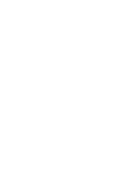 Light Logo